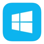 WİNDOWS LİSANSLARI